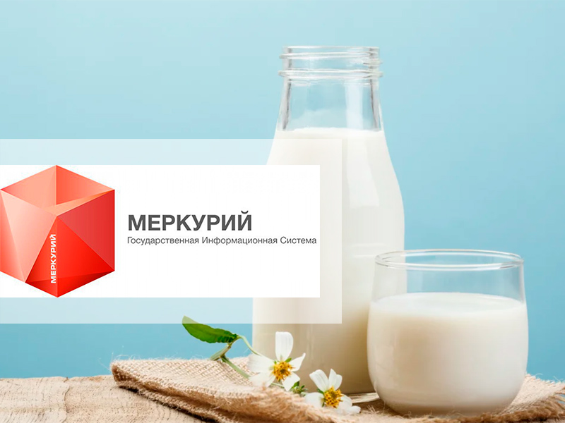 Маркировка молочной продукции в 2022 году для общественного питания