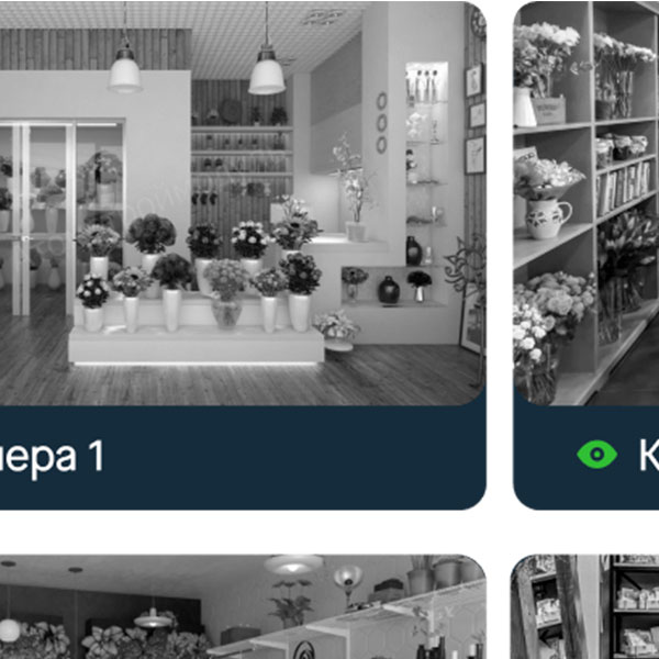 сбис контроль